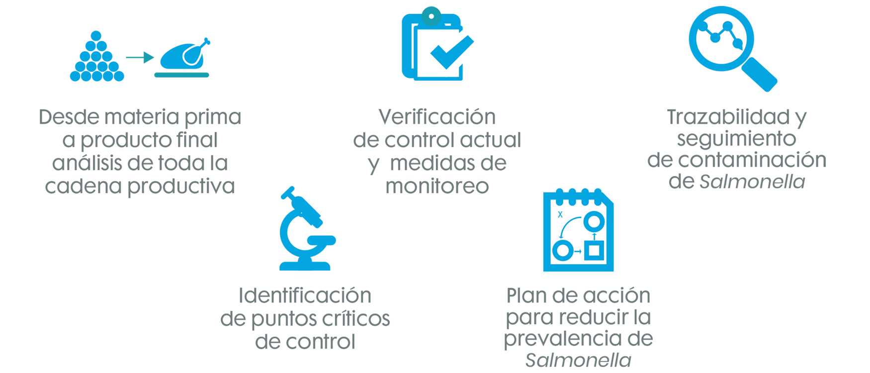 Desde materia prima a producto final, verificacación y monitores, trazabilidad, identificación de puntos críticos y plan de acción contra la Salmonella