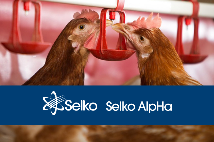 Selko® AlpHa