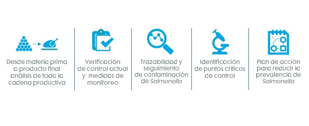 Desde materia prima a producto final, verificacación y monitores, trazabilidad, identificación de puntos críticos y plan de acción contra la Salmonella