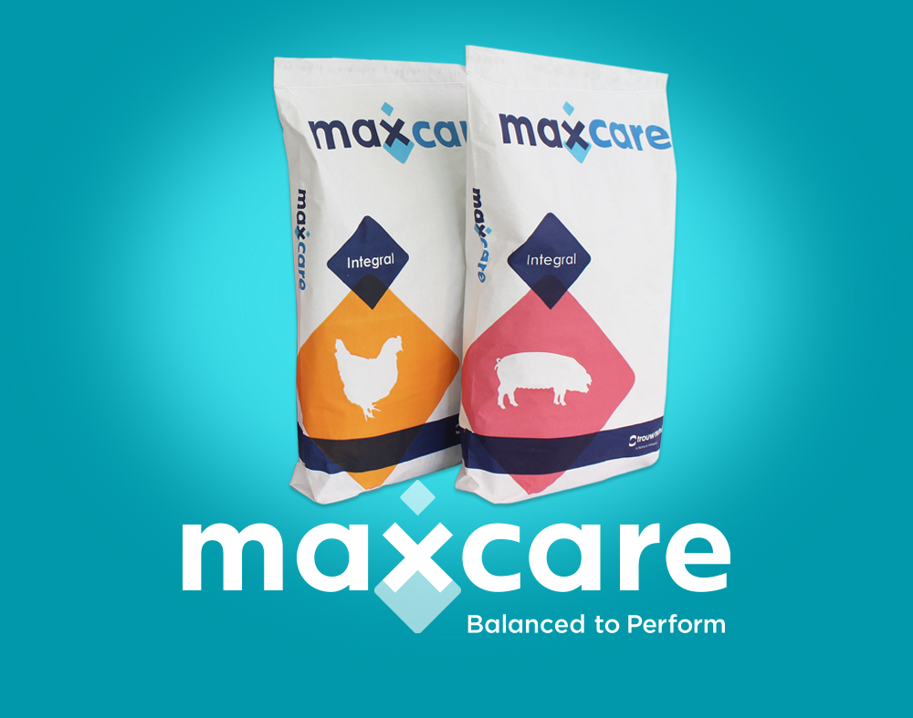 Enrich livestock nutrition with Maxcare feed supplements
