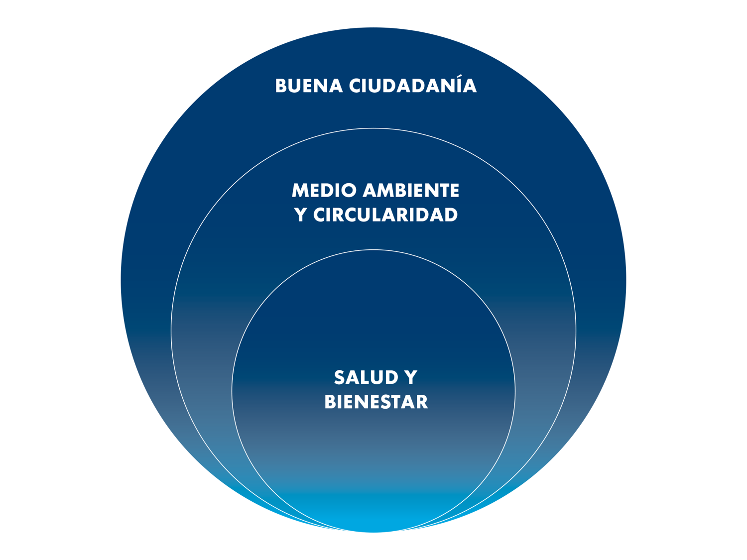 Pilares de sostenibilidad