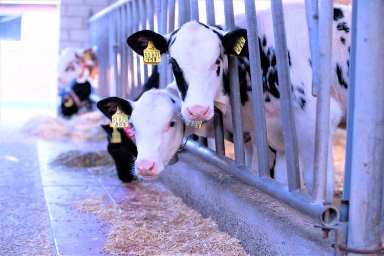 La ciencia que respalda Sprayfo