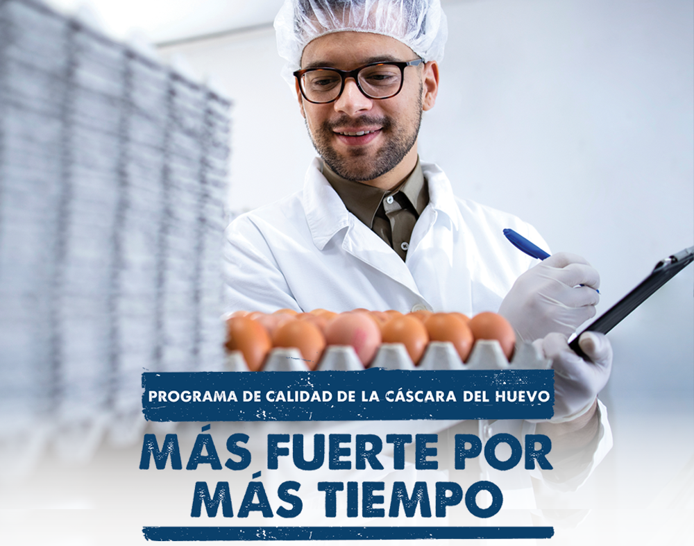 Programa de calidad de la cáscara de huevo