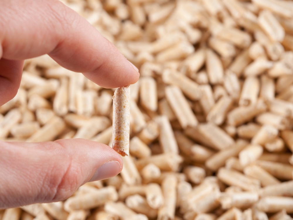 Estabilidad de los Alimentos