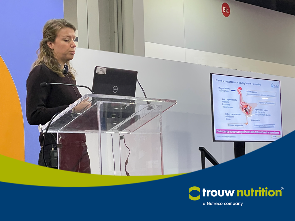 IPPE 2022- Nienke de Groot presentando Enfoque 3D para la gestión de riesgos de micotoxinas