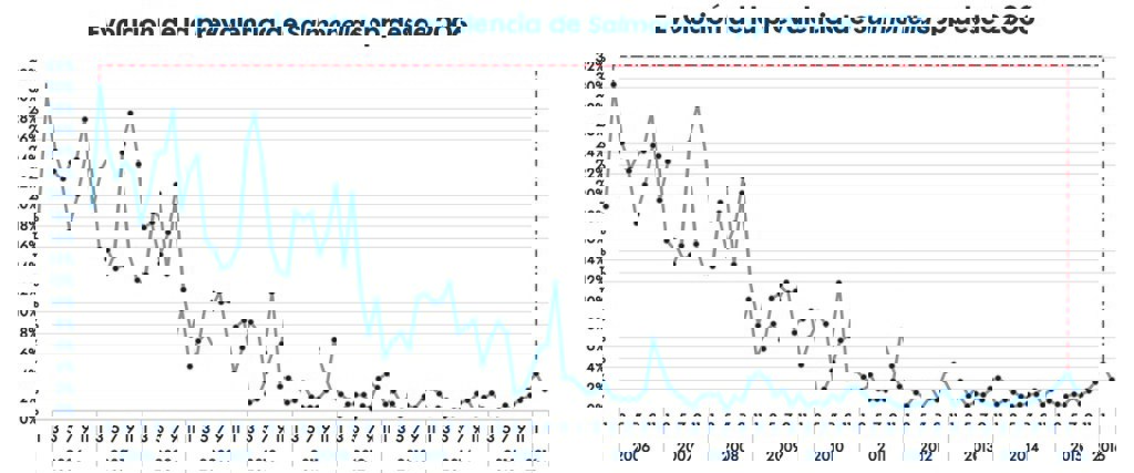Implementación de  Programa de Salmonella