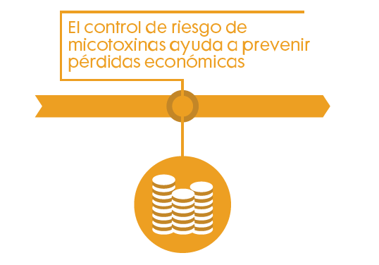 El control de riesgo de micotoxinas ayuda a prevenir pérdidas económicas