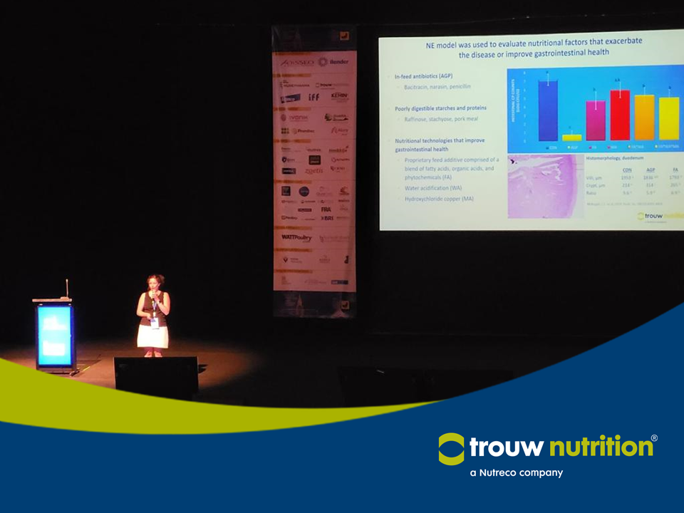 IHISIG 2022-42 "Un modelo para el desafío de Clostridium perfringens para evaluar los impactos de factores nutricionales en la progresión de la enteritis necrótica subclínica". Leslie L. McKnight - Líder Global del Equipo de Validación en Investigación de Trouw Nutrition