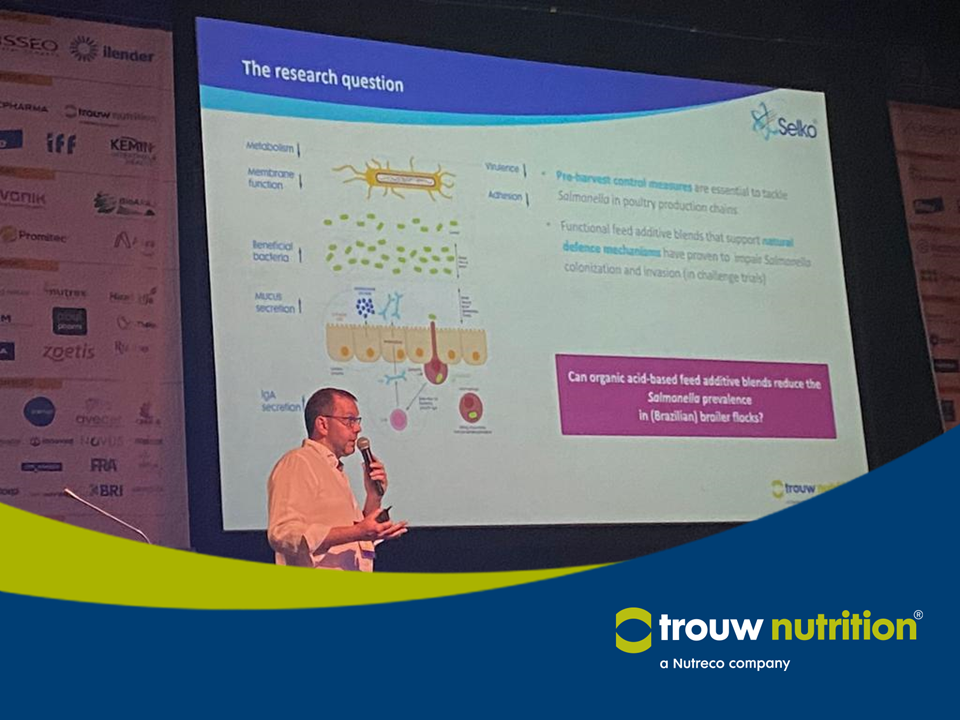 IHISIG 2022-38 "Estudio de campo brasileño muestra una reducción en la prevalencia de Salmonella en granjas potenciando los mecanismos de defensa naturales de las aves". Bart D'heer - Gerente Global del Programa de Control de Salmonella en Trouw Nutrition