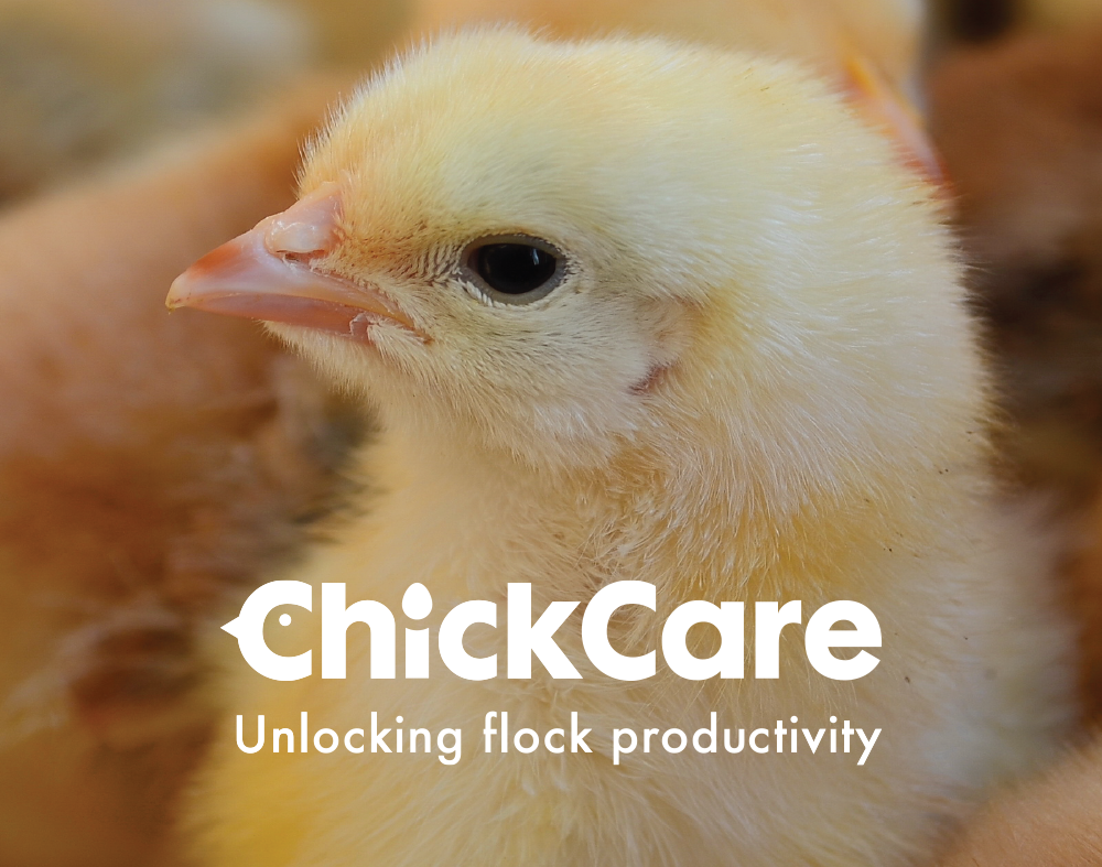 Chickcare