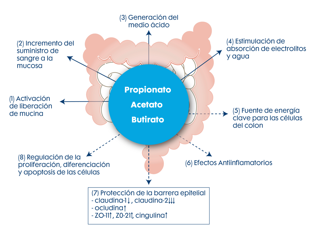 butirato