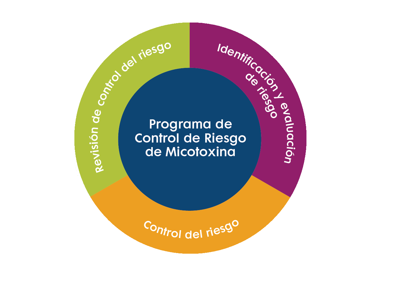 icono programaidentificacion implementacion y revision