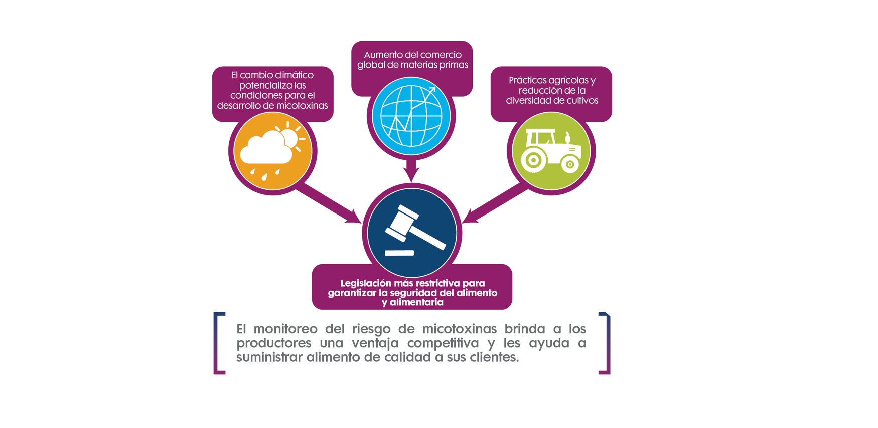 Ventaja Competitiva